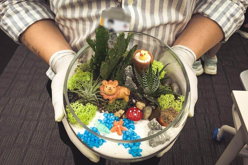 힐링가든 테라리움