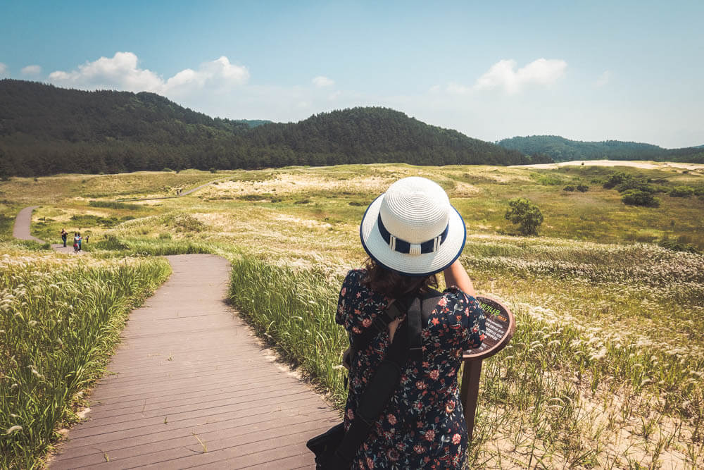 나만의 여행 디자인하기